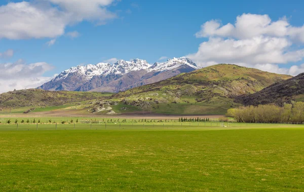 Yeşil alan ve dağ manzarası — Stok fotoğraf