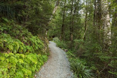 Orman yoluyla parça 