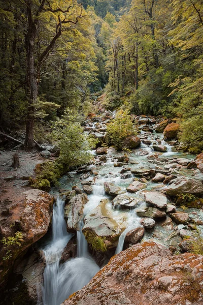 Bosque otoñal y cascada —  Fotos de Stock