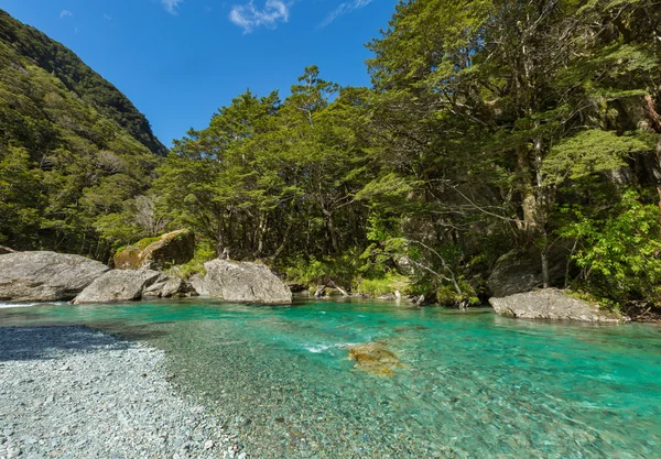 Красивый бирюзовый поток на Routeburn Track — стоковое фото