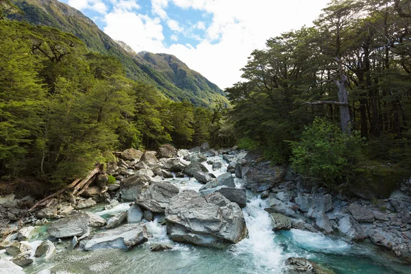 Όμορφη ρεύμα τιρκουάζ σε Routeburn κομμάτι — Φωτογραφία Αρχείου