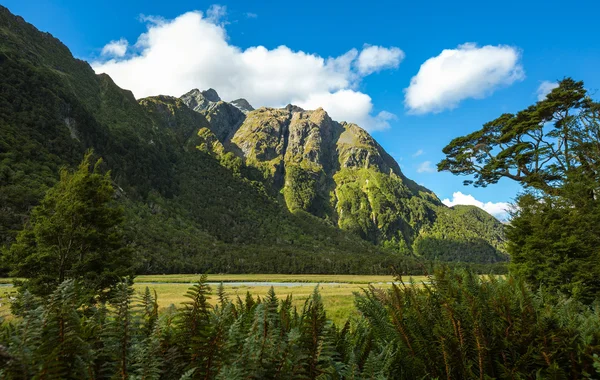 Prato di Routeburn Appartamenti — Foto Stock