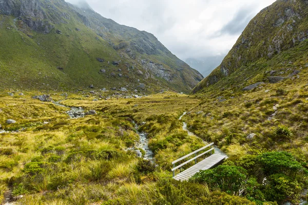 Routeburn Track na Novém Zélandu — Stock fotografie