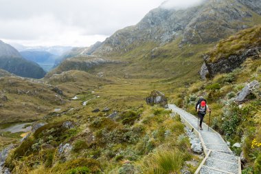 Routeburn Track in New Zealand clipart