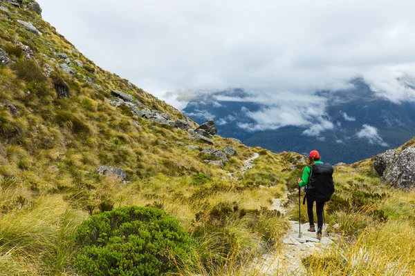 Routeburn Track in Nuova Zelanda — Foto Stock