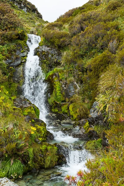 Routeburn yolda küçük şelale — Stok fotoğraf