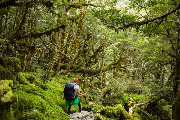 Woman hiker with backpack walking in native beech forest on Rout — Stock Photo, Image
