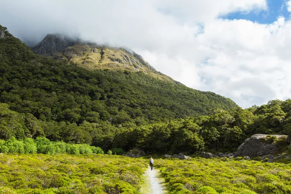 Routeburn Track в Новой Зеландии — стоковое фото