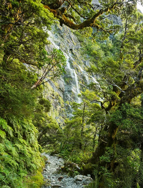 Earland Falls en Nueva Zelanda — Foto de Stock
