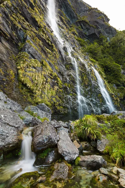 Earland Falls Yeni Zelanda — Stok fotoğraf