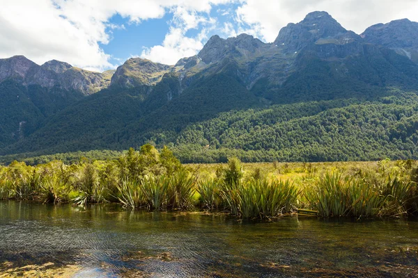 Lustro jeziora w Nowej Zelandii — Zdjęcie stockowe
