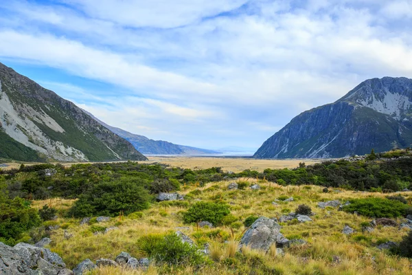 Louka a horská krajina v národním parku Mount Cook — Stock fotografie