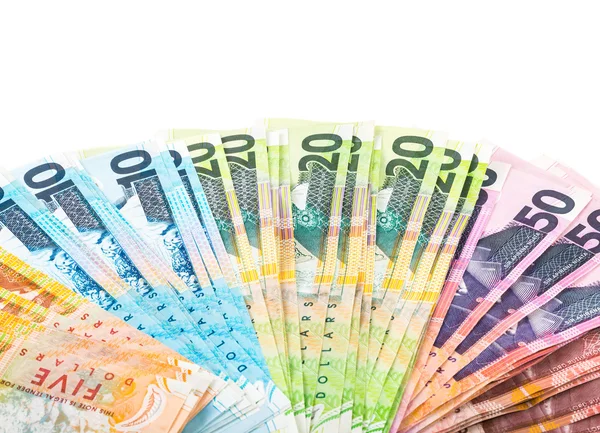 Notes in New Zealand currency — Stock Photo, Image