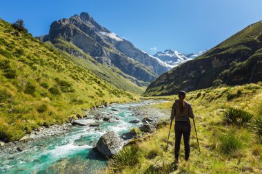 Woman hiker enjoys the view of Earnslaw Burn Track in Glenorchy clipart