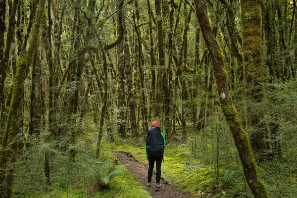 Mujer excursionista en Kepler pista —  Fotos de Stock