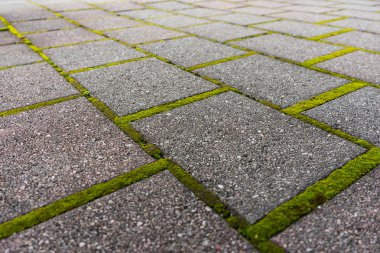 Tuğla yolu yeşil yosun ile 