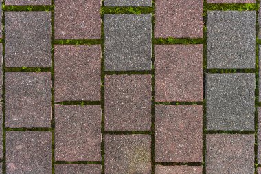 Tuğla yolu yeşil yosun ile 