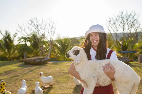 Hermosa chica en granja de ovejas — Foto de Stock