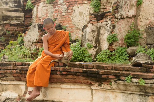 Jeune moine bouddhiste novice — Photo