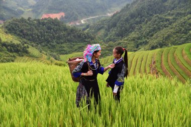 omuz farmercarry sepet