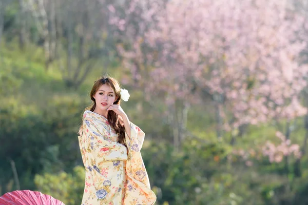 Porträt einer traditionellen asiatischen Frau — Stockfoto