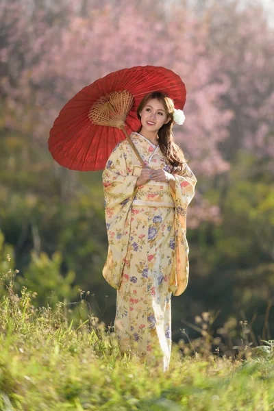 Ritratto di asiatica donna tradizionale — Foto Stock