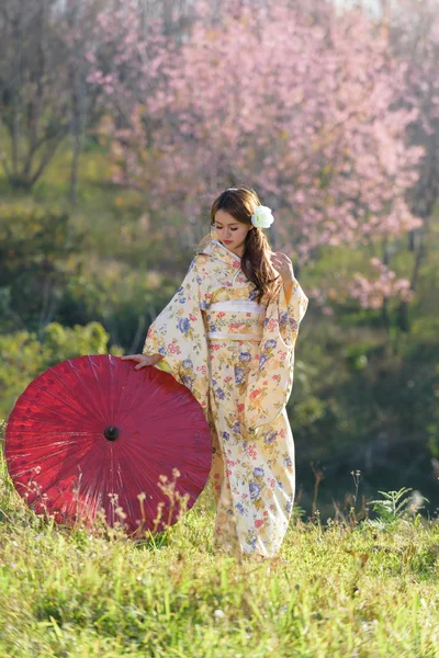 Porträt einer traditionellen asiatischen Frau — Stockfoto
