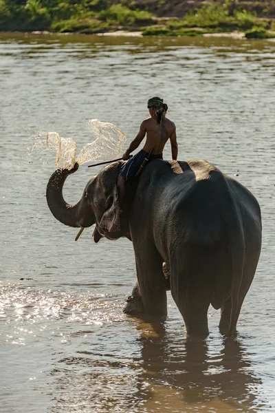 Elefante grande sopla agua a su espalda — Foto de Stock
