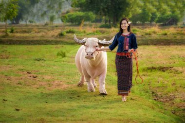 Buffalo ile Asyalı kız