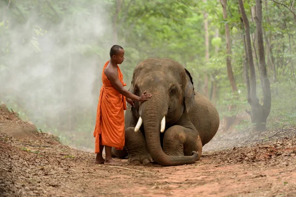 Mönch und Elefant — Stockfoto