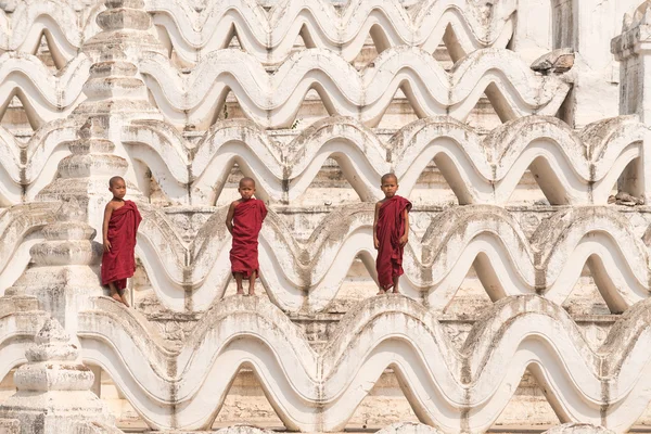 Three Buddhist novices — Stock Photo, Image