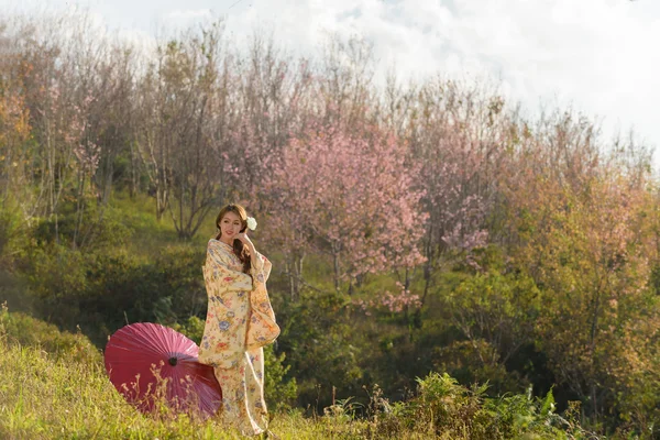 亚洲传统女人的画像 — 图库照片