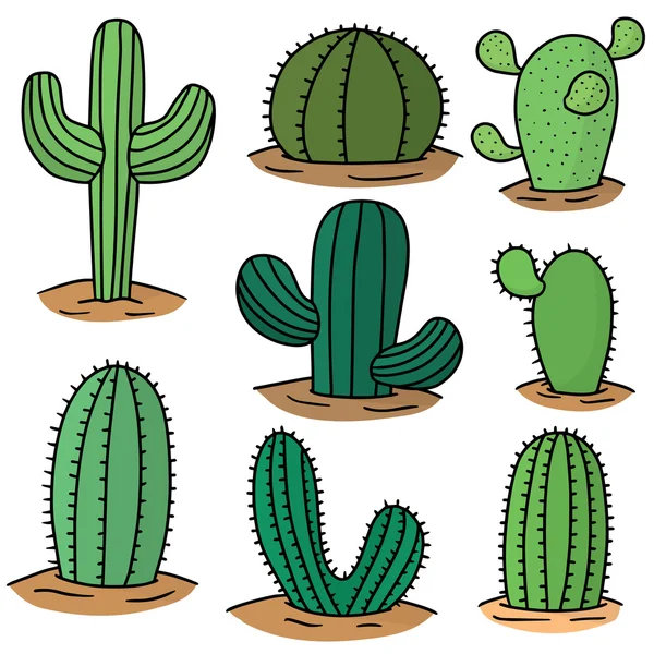 Vector set of cactus — Stock Vector