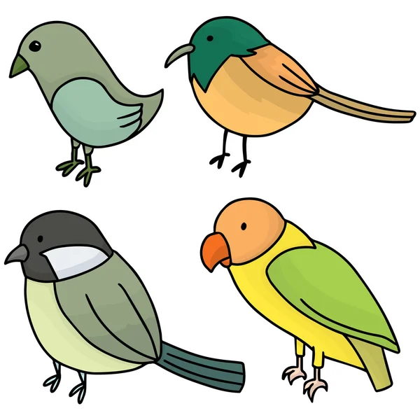Ensemble vectoriel d'oiseaux — Image vectorielle