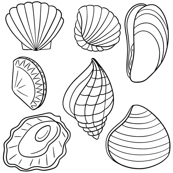 Insieme vettoriale di shell — Vettoriale Stock