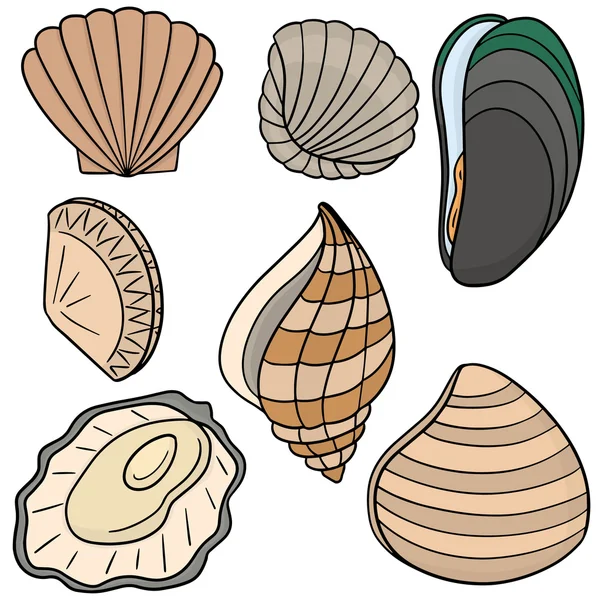 Jeu vectoriel de coquille — Image vectorielle