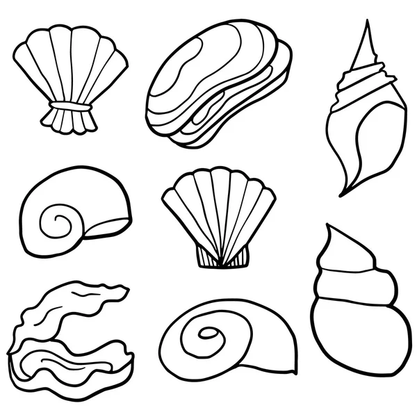 Vector conjunto de shell — Archivo Imágenes Vectoriales