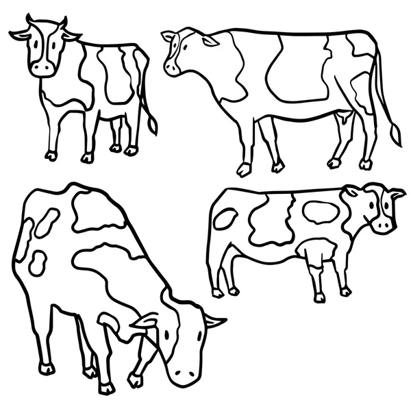 Vektor-Set von Kuh — Stockvektor