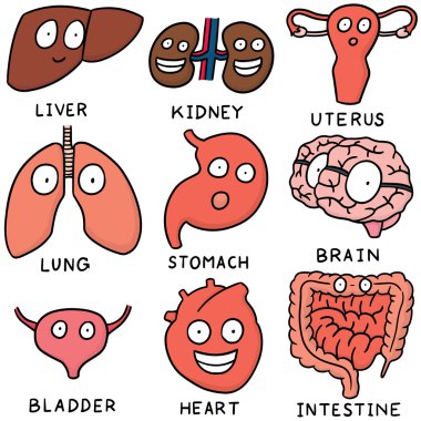 İç organ karikatür vektör kümesi