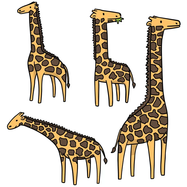 Jeu vectoriel de girafe — Image vectorielle