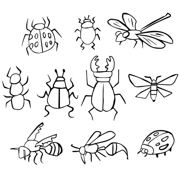 Conjunto vectorial de insectos — Archivo Imágenes Vectoriales