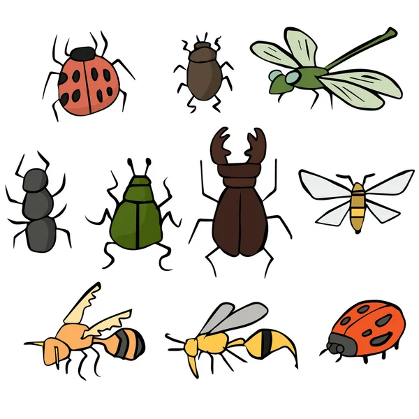 Conjunto vectorial de insectos — Archivo Imágenes Vectoriales