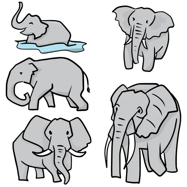 Vector conjunto de elefante — Archivo Imágenes Vectoriales