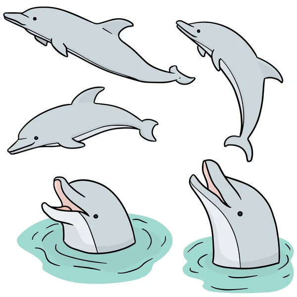 Vektor szett-delfin — Stock Vector