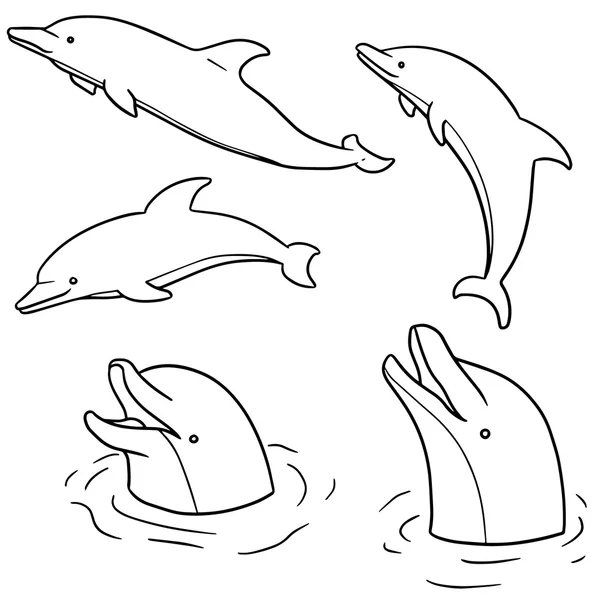 Jeu vectoriel de dauphins — Image vectorielle