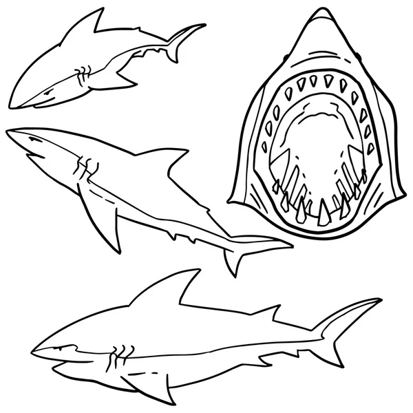 Jeu vectoriel de requins — Image vectorielle