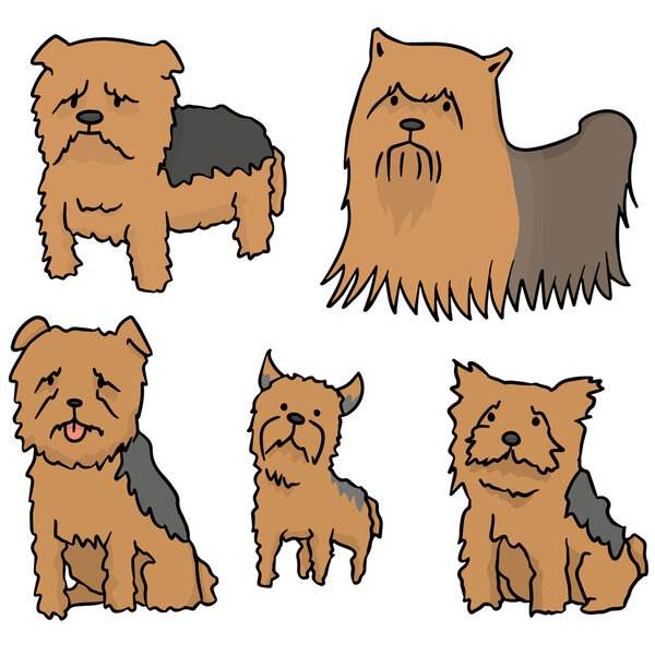 векторный набор йоркширского терьера
