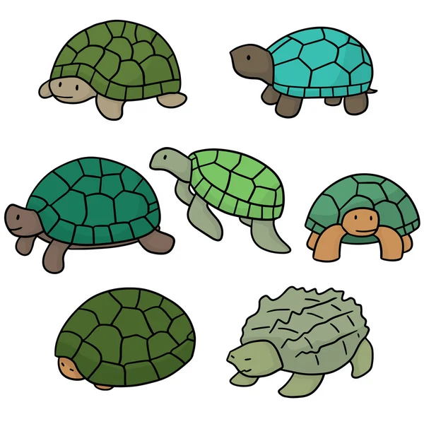 Vector set of turtle — Stock Vector