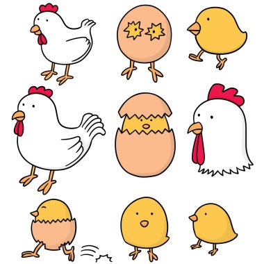 Tavuk ve yumurta vektör kümesi