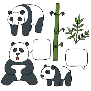 panda vektör kümesi